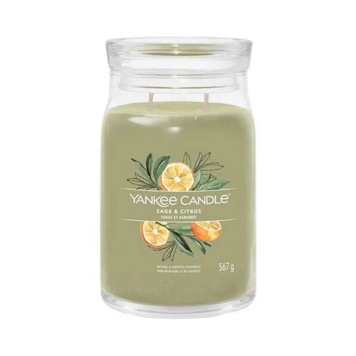 Sage & Citrus | Signature Candle 567g