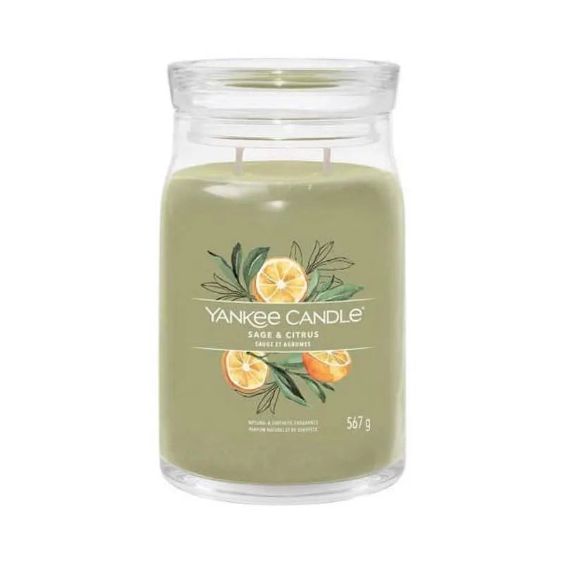 Sage & Citrus | Signature Candle 567g