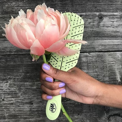 Sustainable Beauty - The New WetBrush Go Green Detangler
