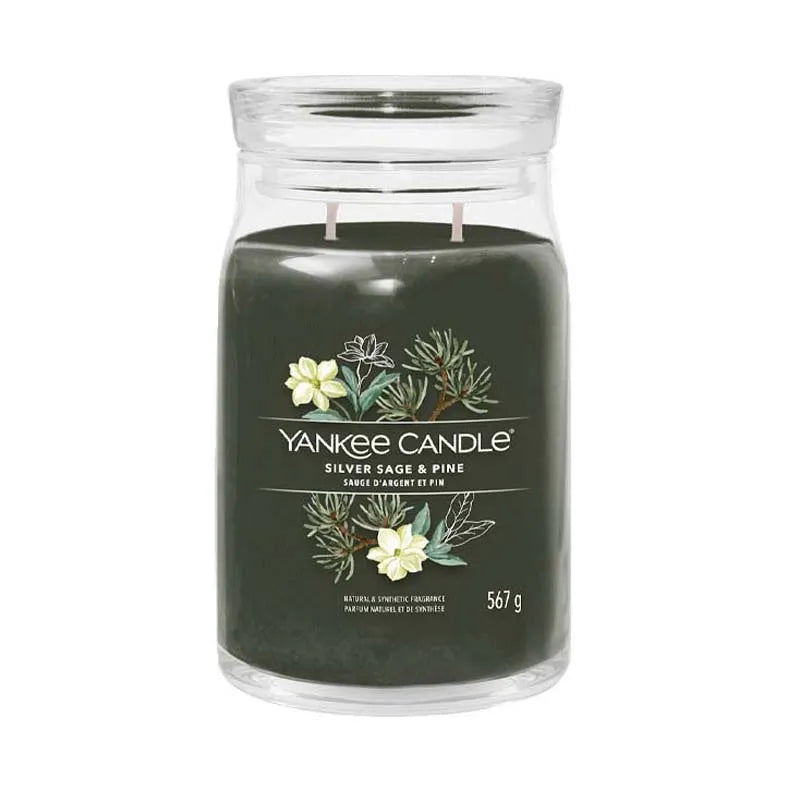 Silver Sage & Pine | Signature Candle 567g