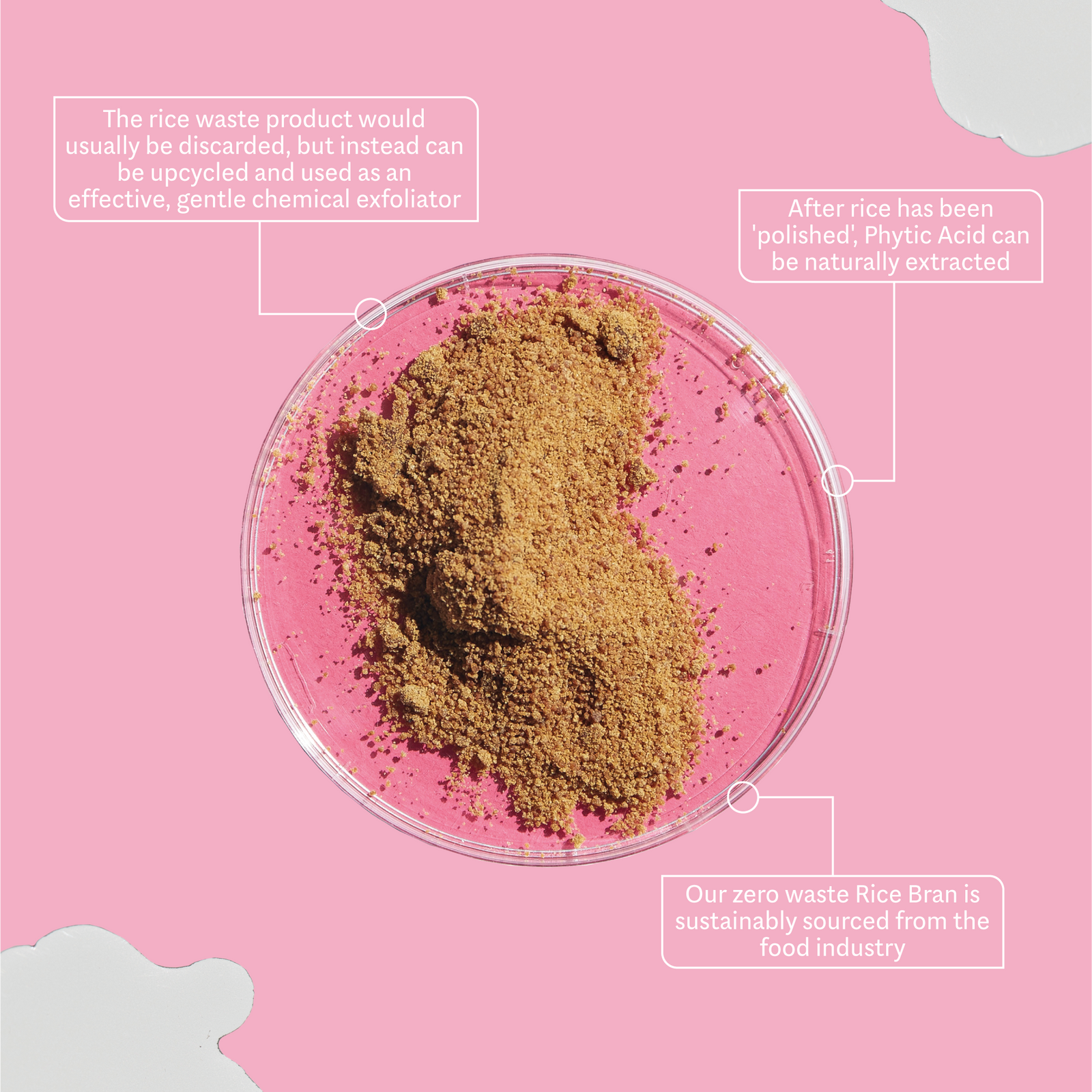 Mandelic Acid & Rice Bran Gentle Exfoliating Serum