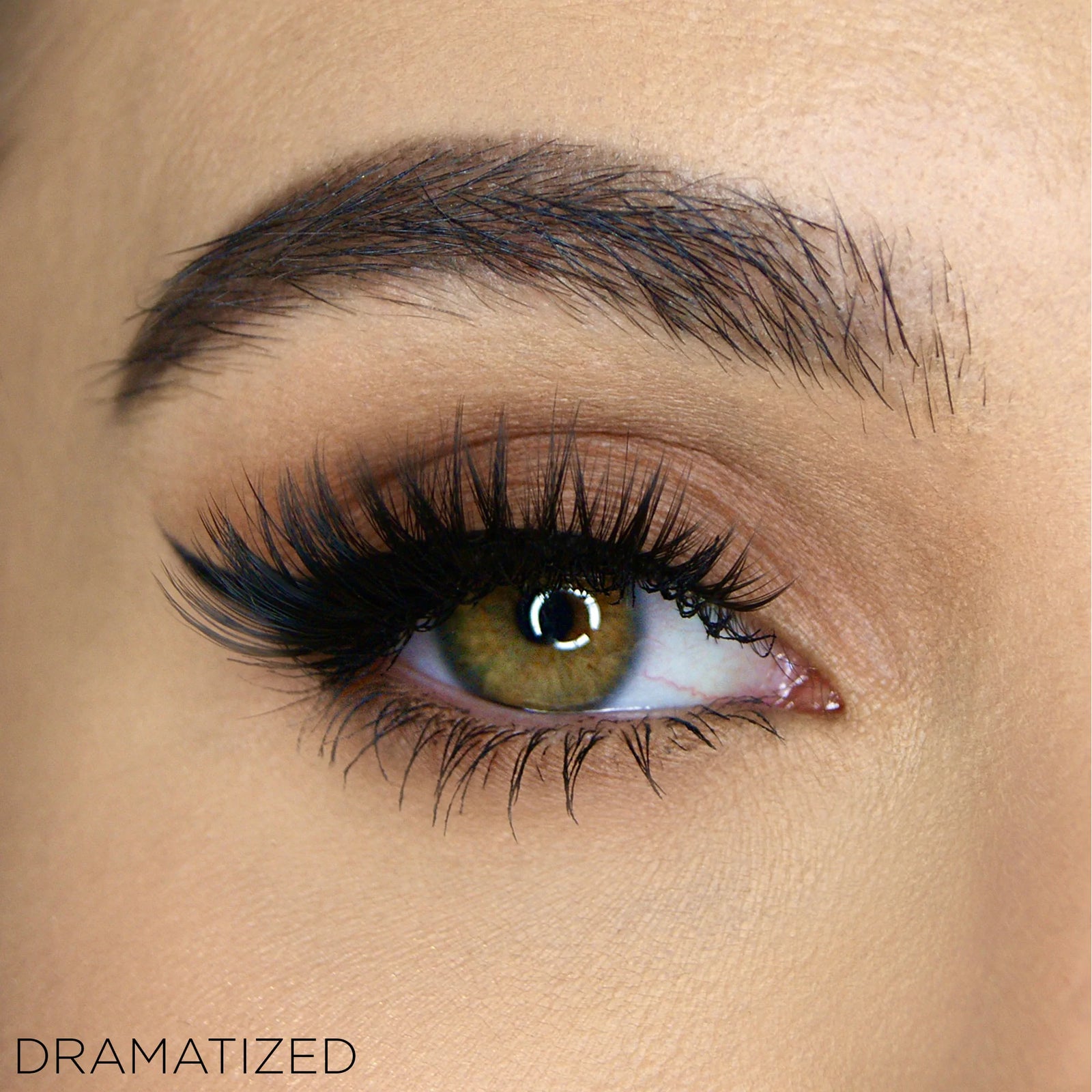 Hidden Agenda Lashes | Dramatized