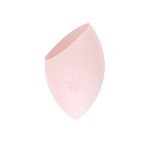 Body Blender Sponge