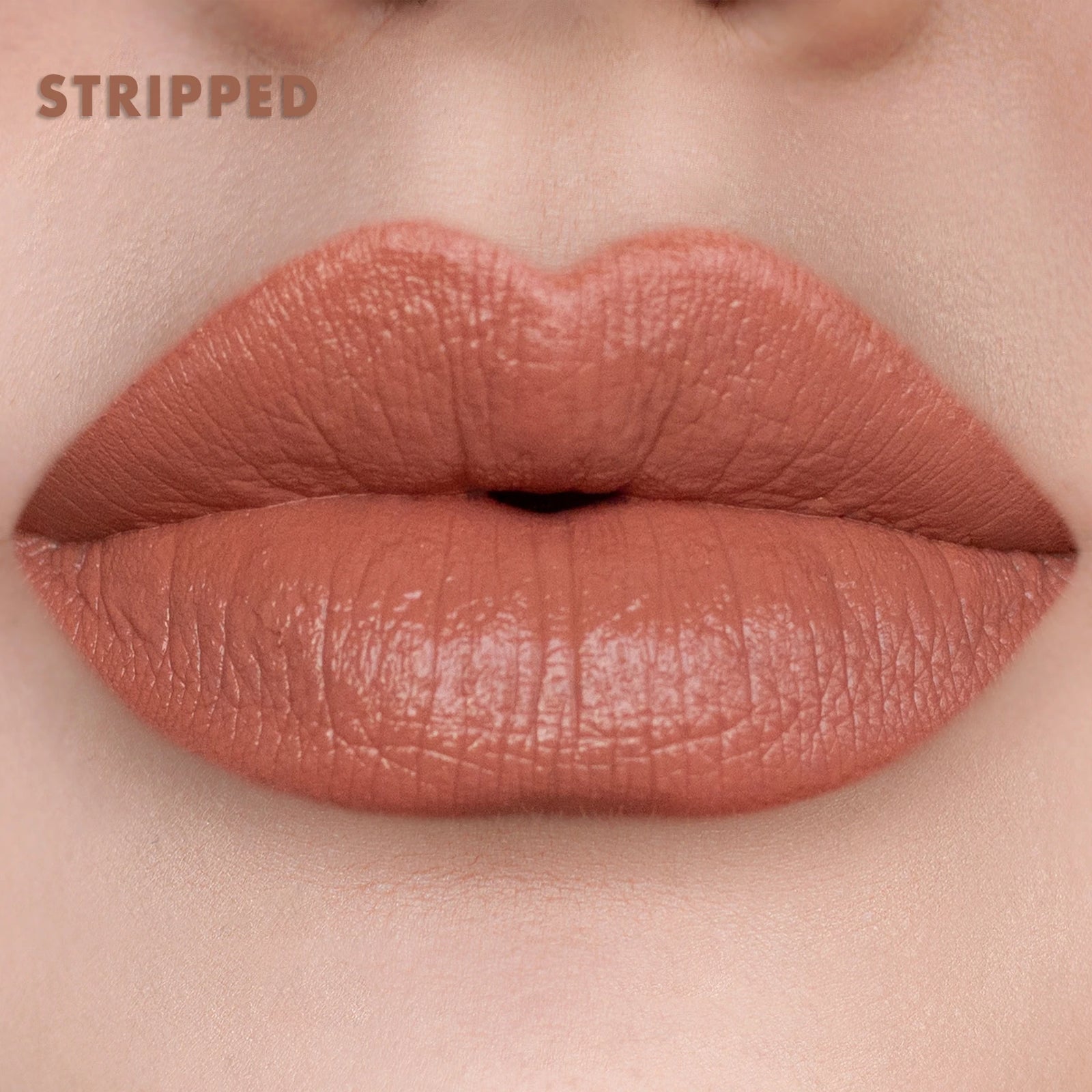 Let Them Talk Lip Kit Collection